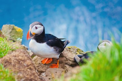 5. Bild der Rundreise