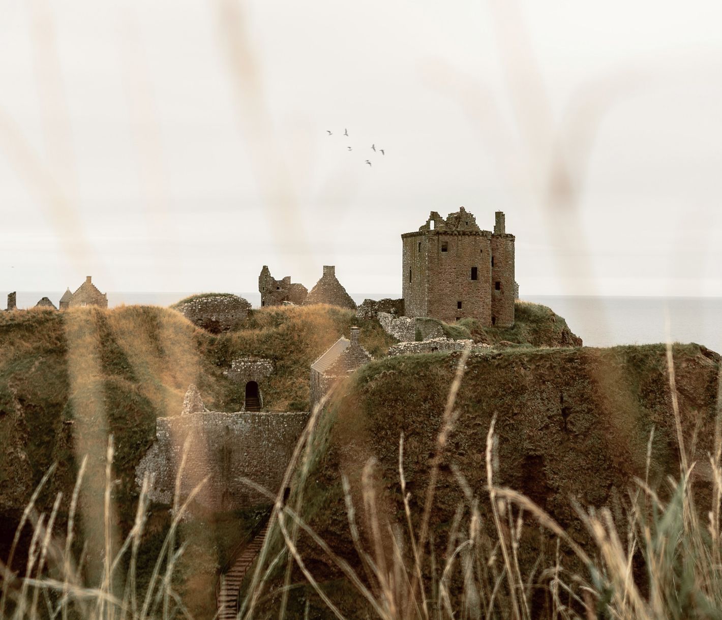 Historische Burgen im Überfluss