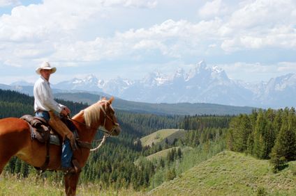 8. Bild der Unterkunft