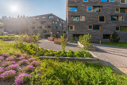 17. Bild der Unterkunft