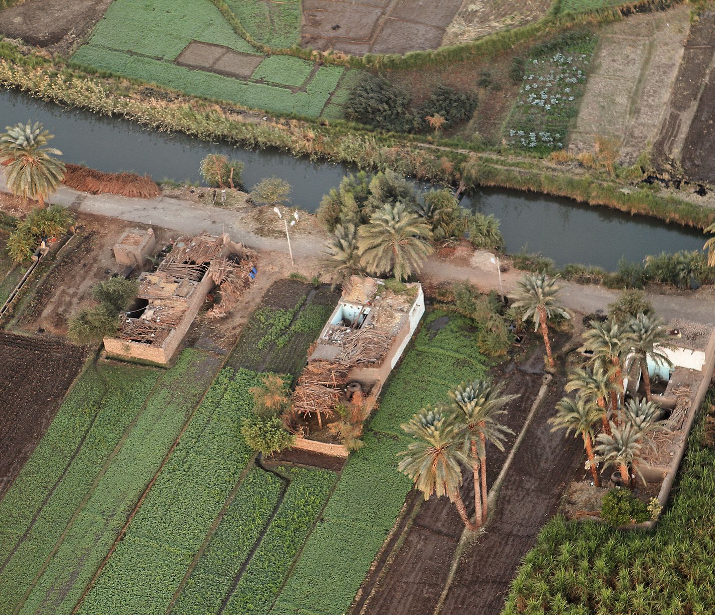 Fruchtbares Grünland am Nil entlang