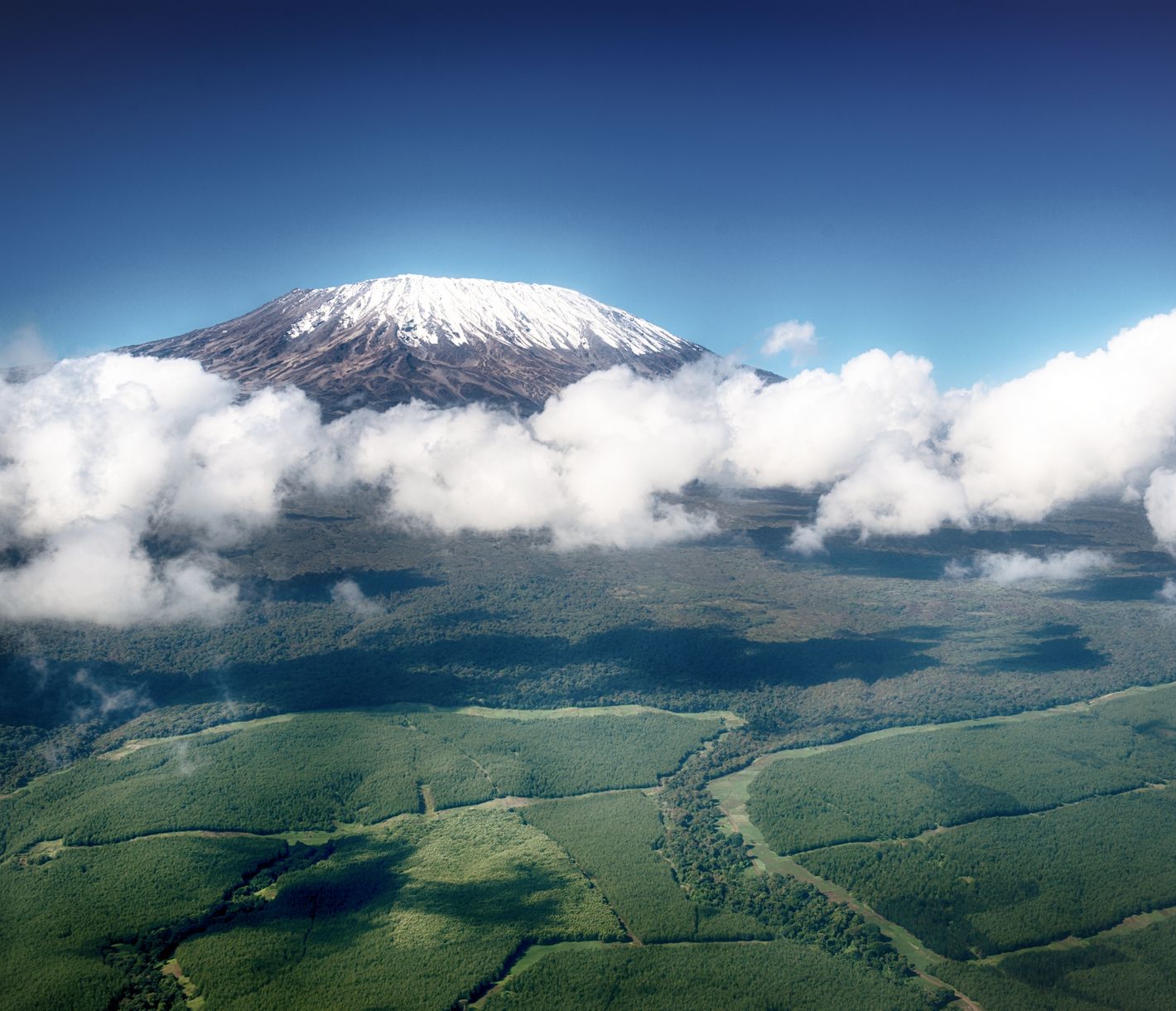 Dem Kilimandscharo im Vorbeiflug fast auf Augenhöhe begegnen?