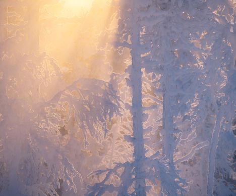 Sonnenuntergang in den umliegenden Wäldern