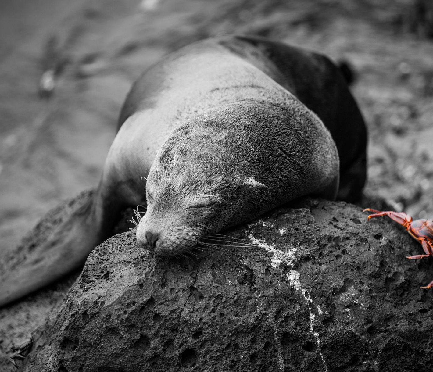 Ganz schön gemütlich