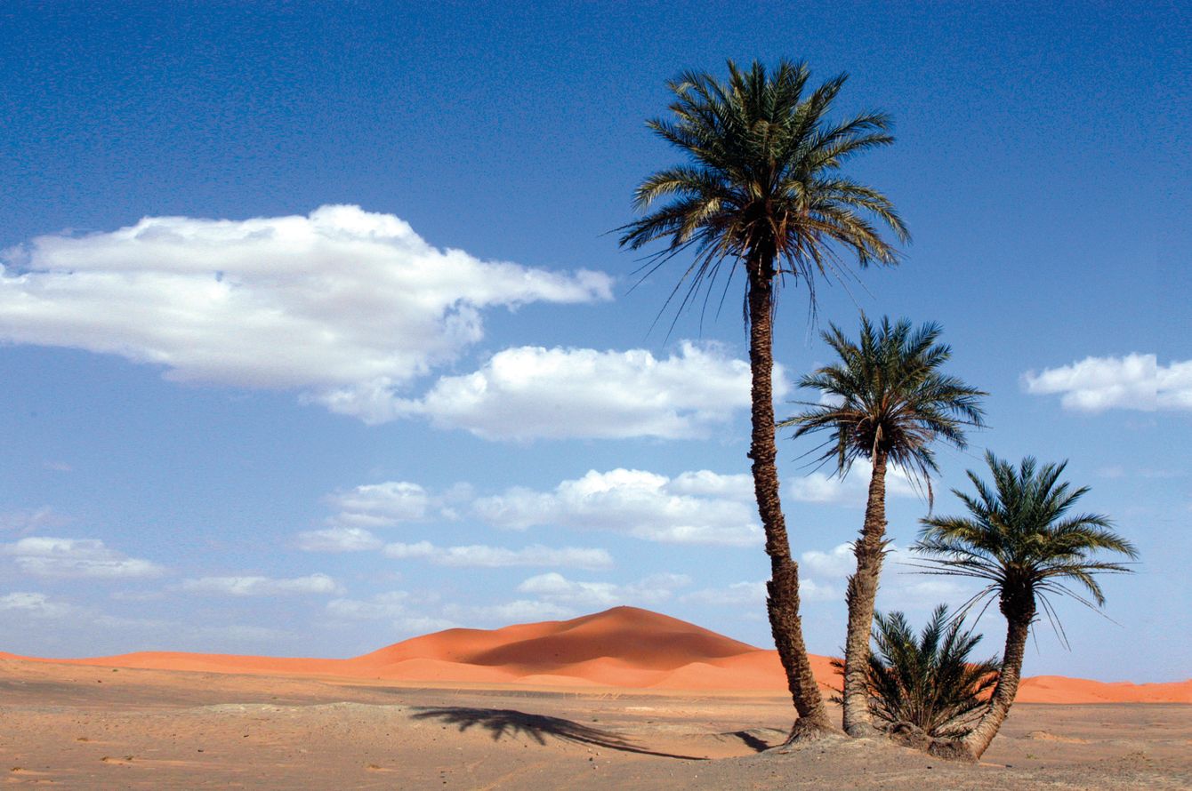 5.Image du voyage