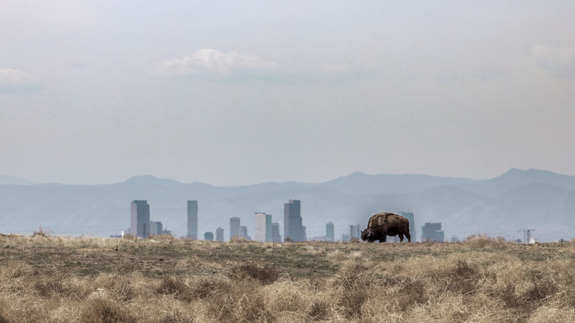 Denver überzeugt mit Attraktionen von Weltrang und der unmittelbaren Nähe zu den Rocky Mountains.