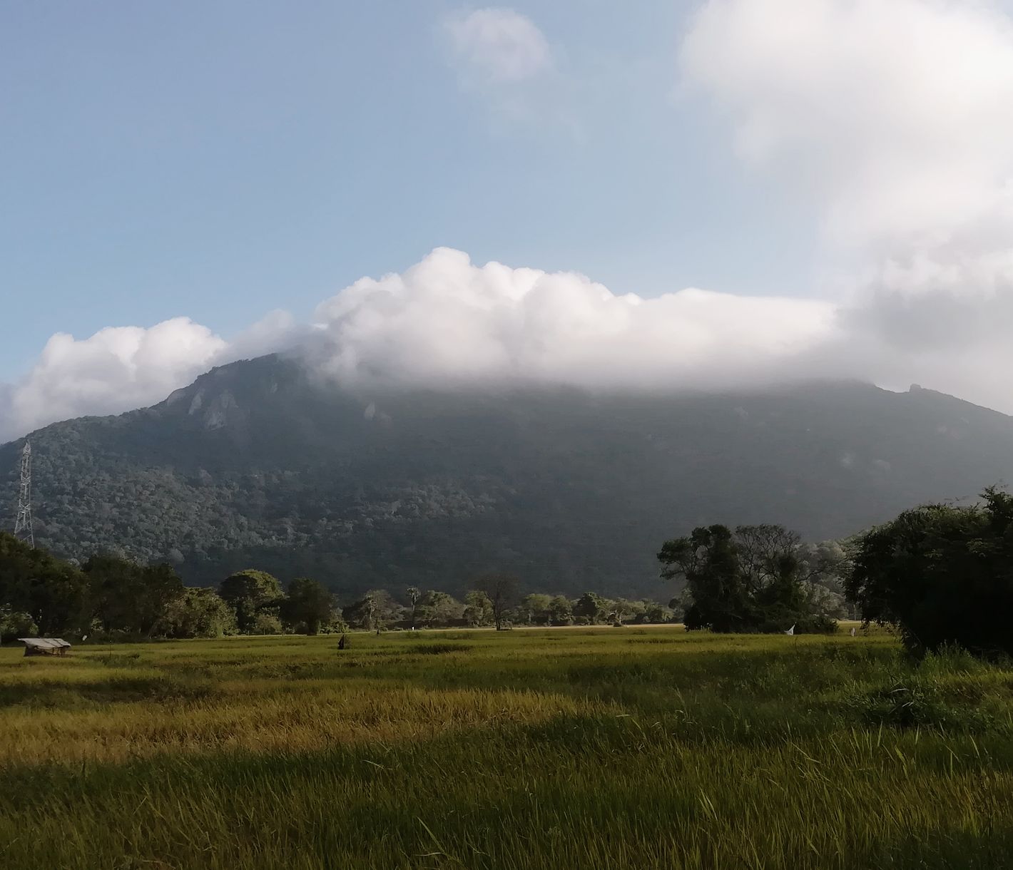 Blick auf den mystischen Ritigala