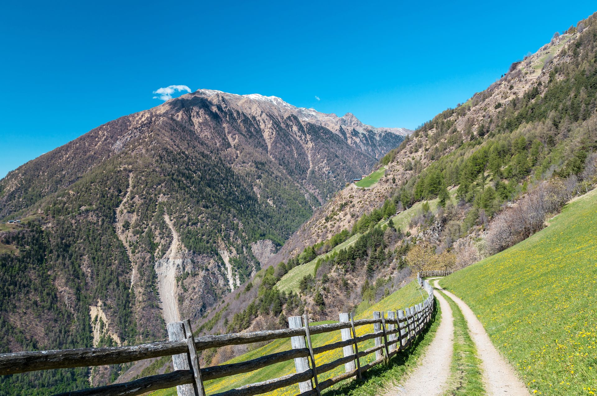 Wanderweg in Naturns