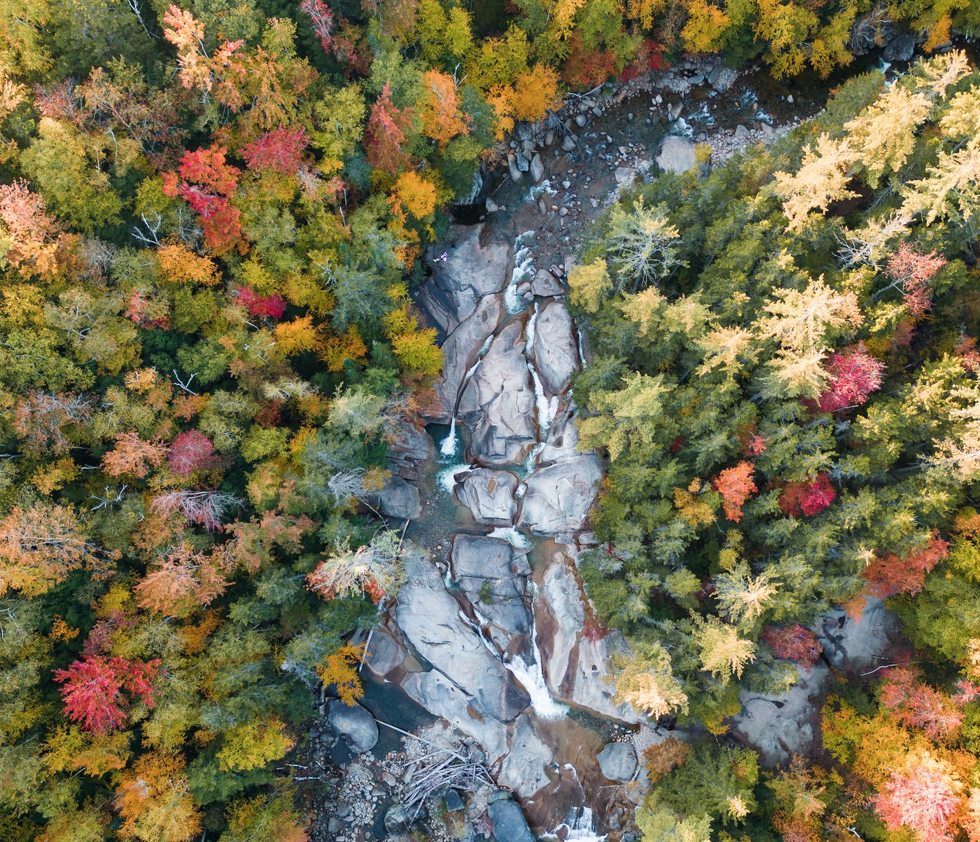 Der Franconia Notch State Park liegt im Herzen der White Mountains und beeindruckt mit majestätischer Natur, steilen Felsklippen und klaren Bergseen.