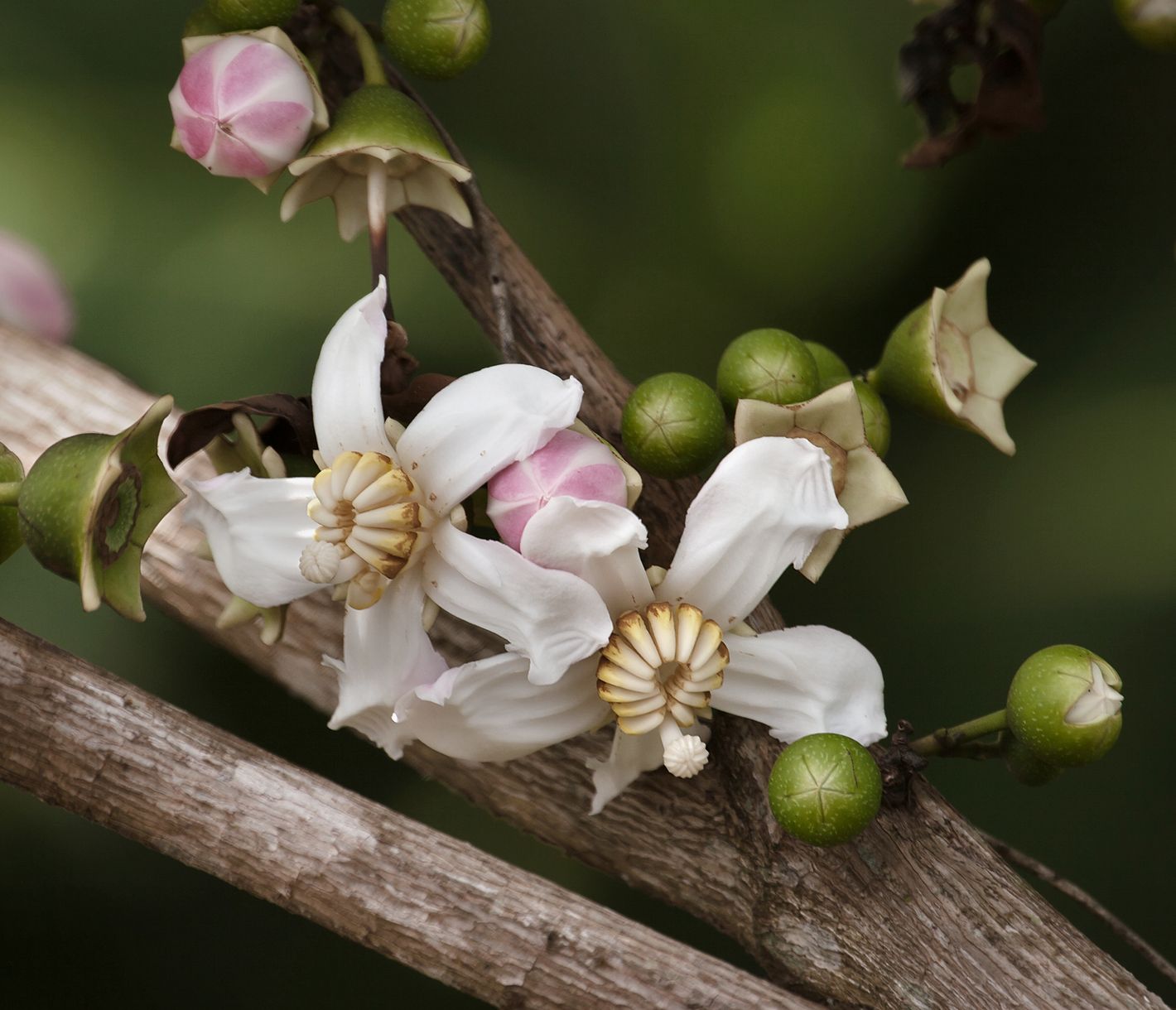 Im Dschungel angekommen.