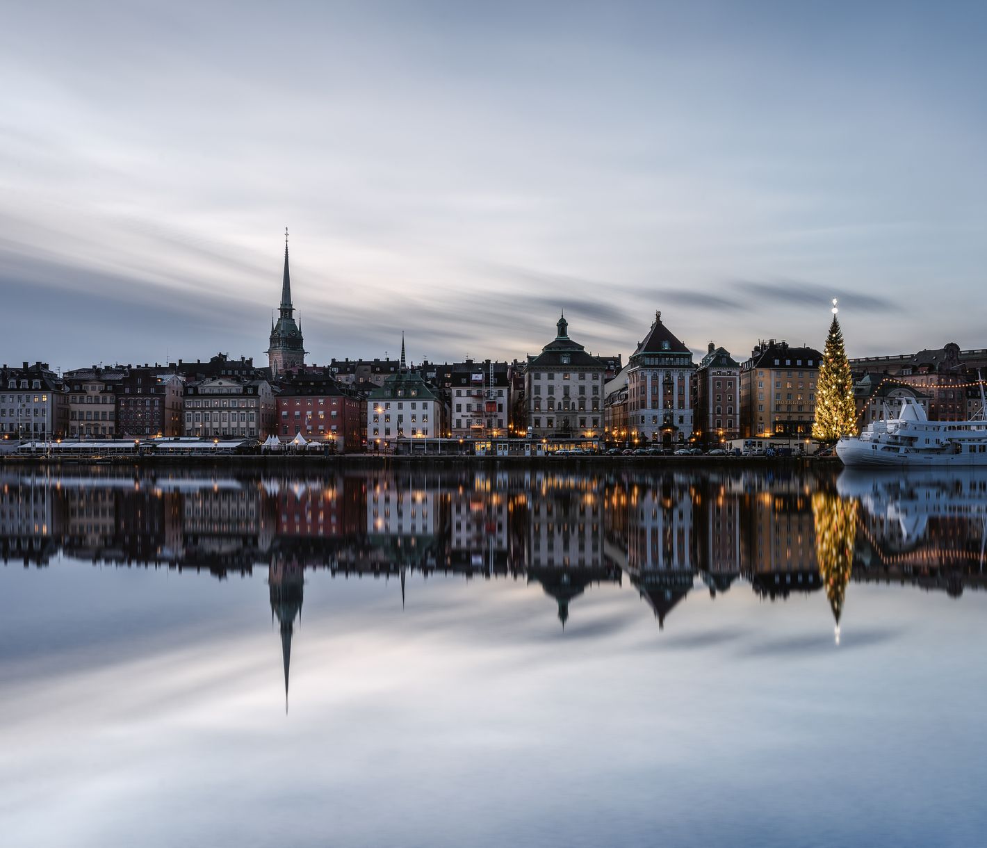 Der grösste echte Weihnachtsbaum der Welt