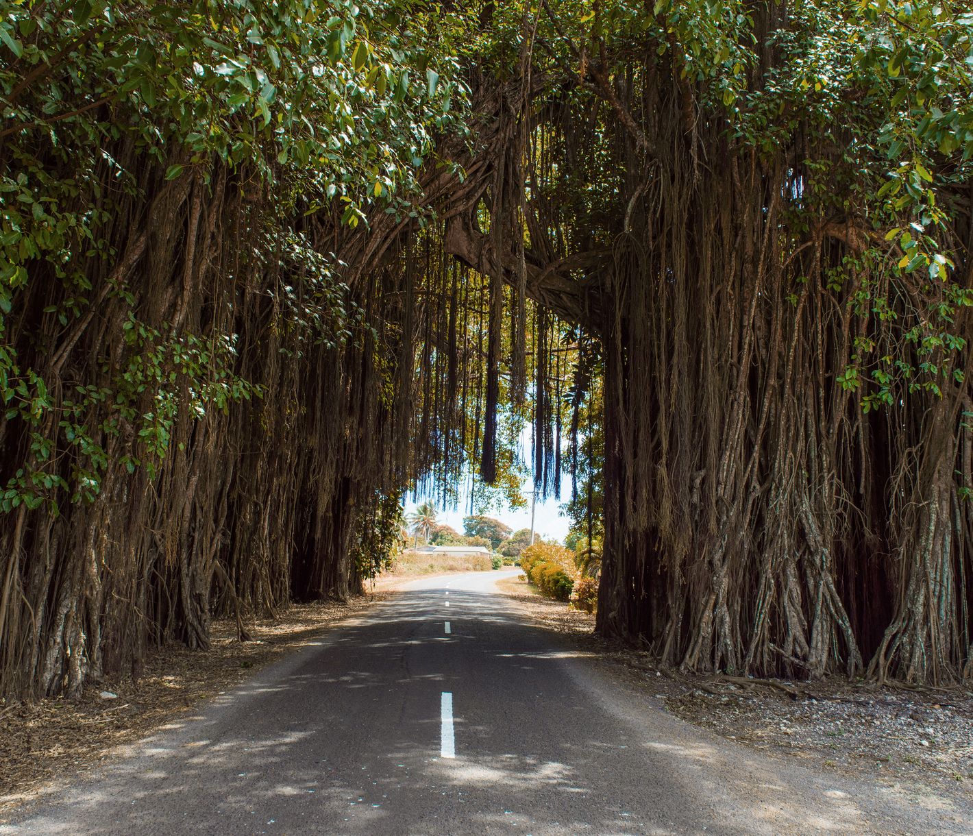 Unterwegs auf Aitutaki