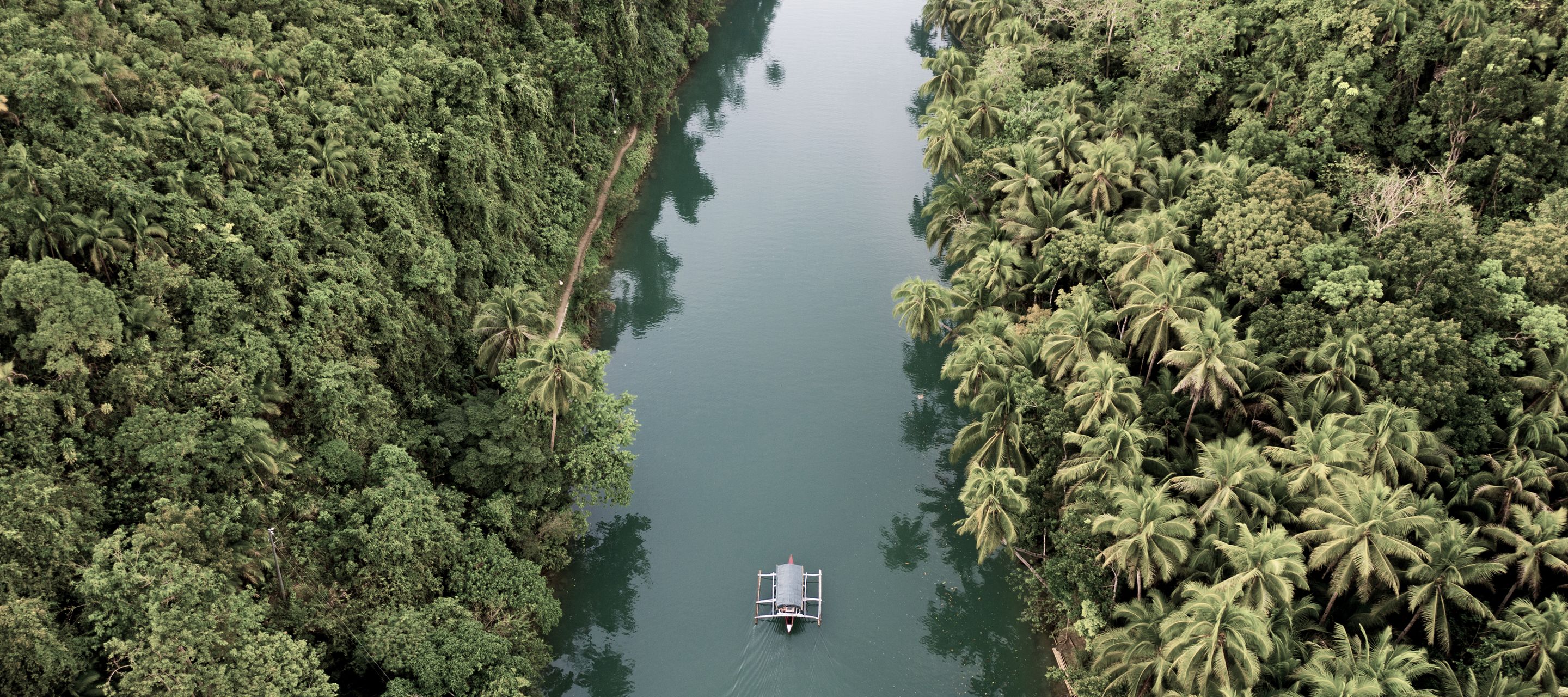 Lors d’une croisière sur la rivière Loboc à Bohol, vous serez plongé dans l’ambiance philippine.