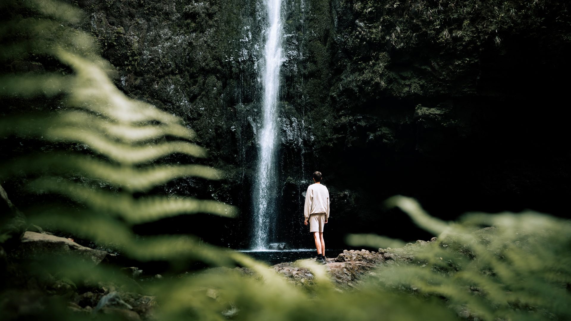 Die Levada do Caldeirão Verde