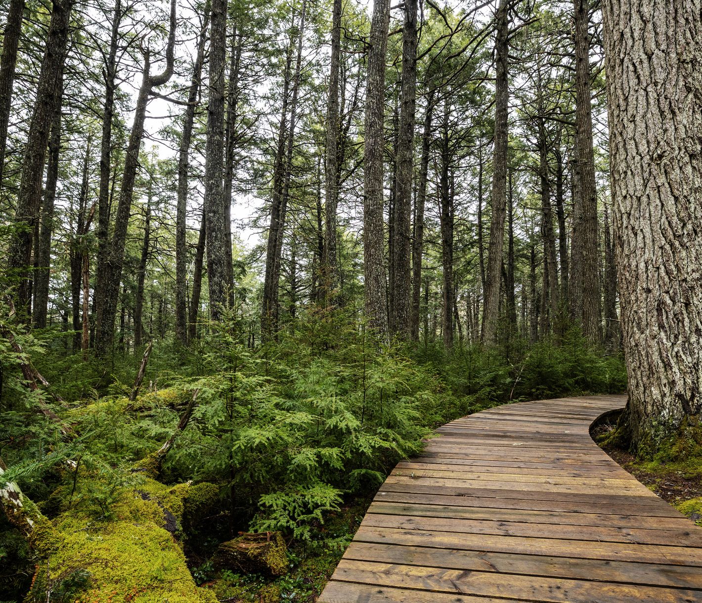 Wandern im Kejimkujik National Park