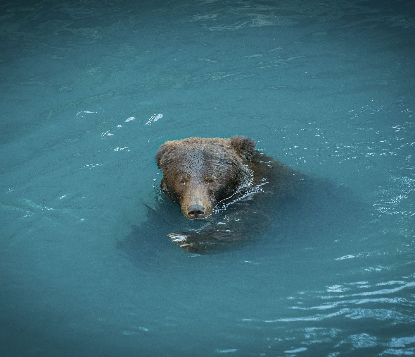 Ein Bad im kühlen Nass