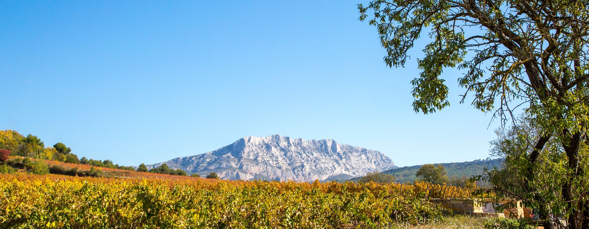 Sainte Victoire / © Sophie Spiteri