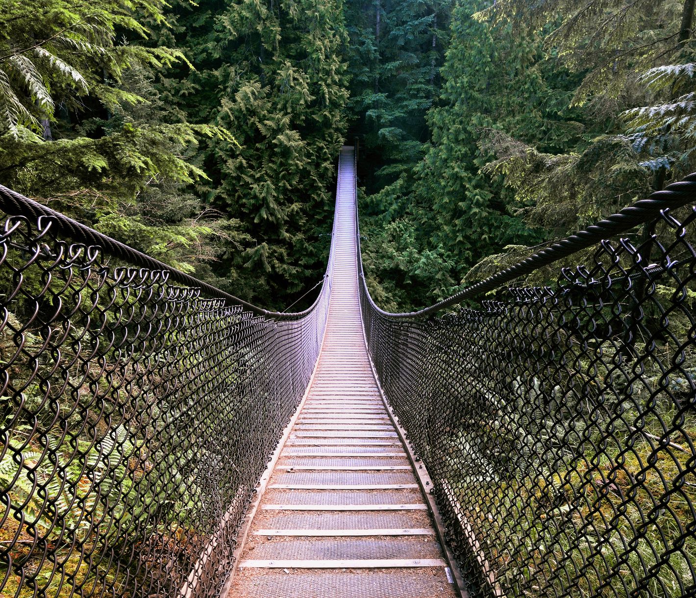Lynn Canyon Suspension Bridge