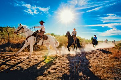 9. Bild der Unterkunft