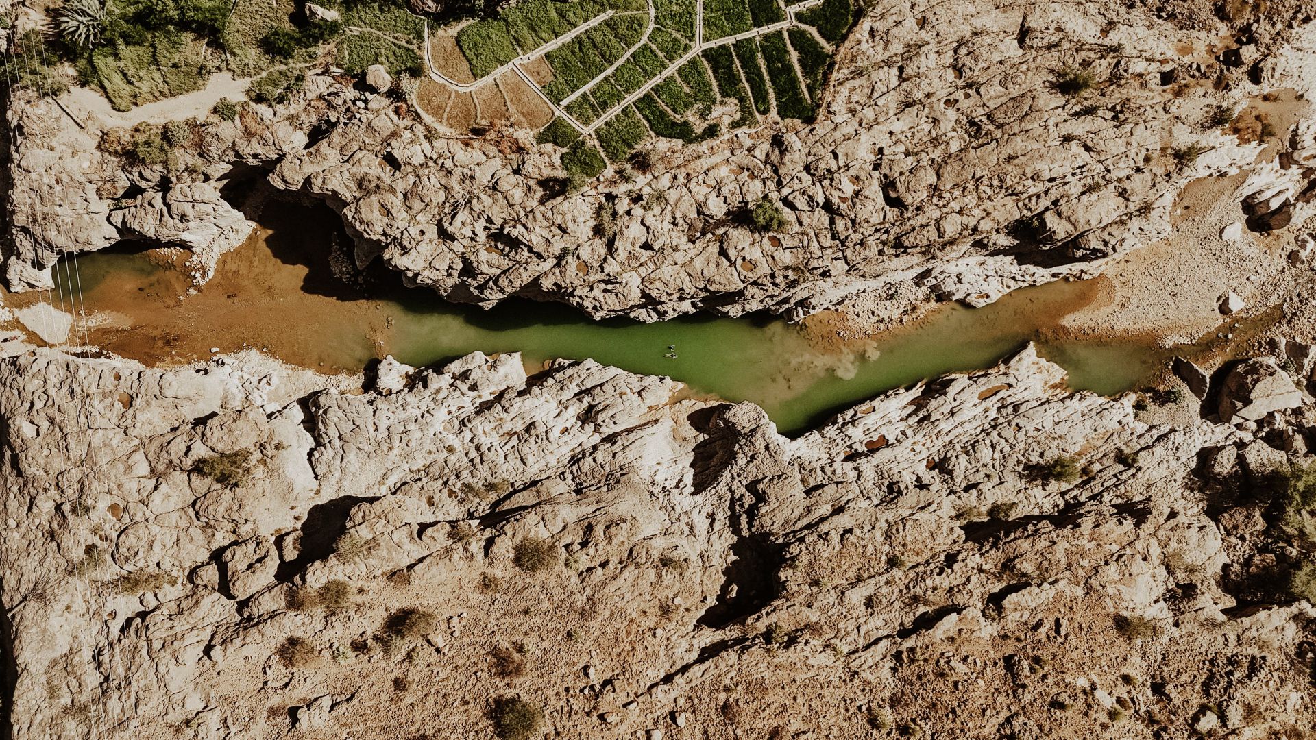 Wadi Tiwi – Das grüne Wunder Omans zwischen Palmen und Felswänden