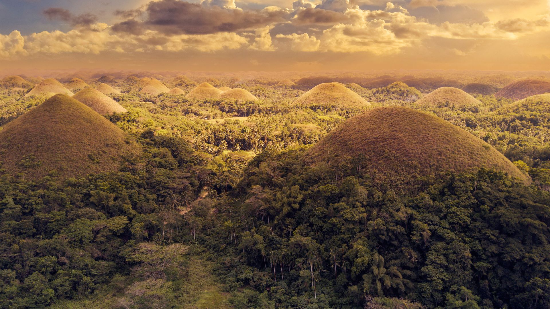 La vue sur les Collines de Chocolat à Bohol est tout simplement fascinante.