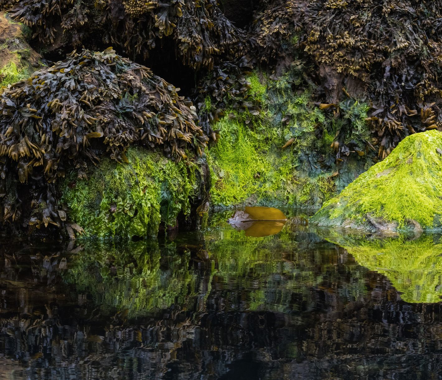 Märchenhafte Inselwelt