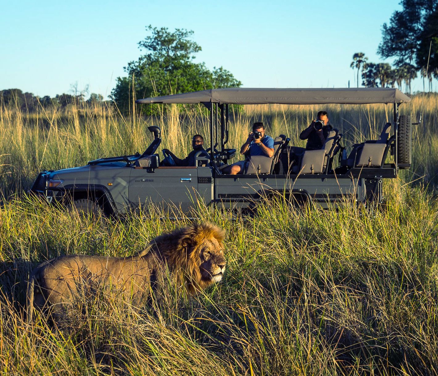 Wildbeobachtung das ganze Jahr aus naher Perspektive
