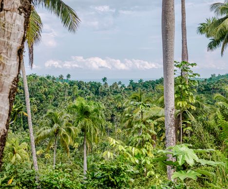 Das Naturparadies im Osten