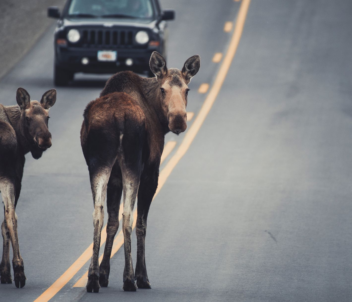 Was guckt ihr denn so?