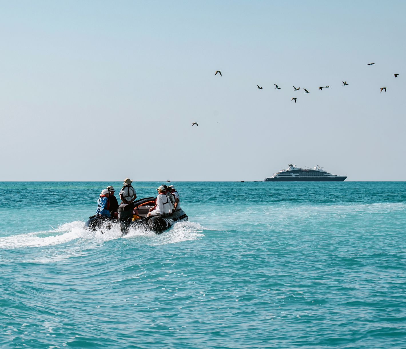 Zodiac-Exkursionen mit den Natur-Guides