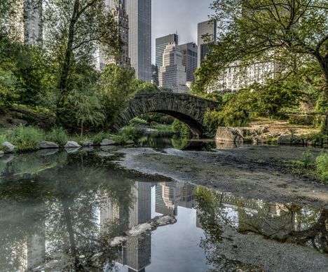 Im südöstlichen Teil des Central Parks liegt die malerische Gapstow Bridge, eine der bekanntesten Brücken Manhattans.