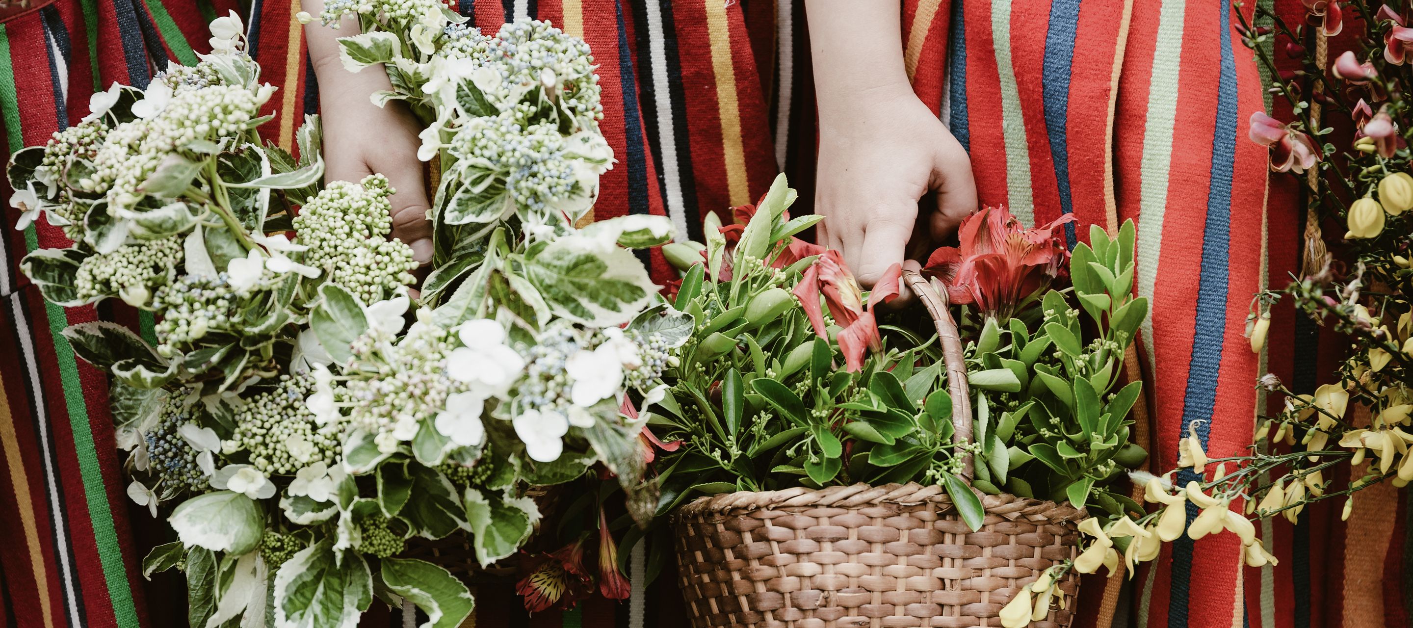Madeira – das Blumenparadies im Atlantik