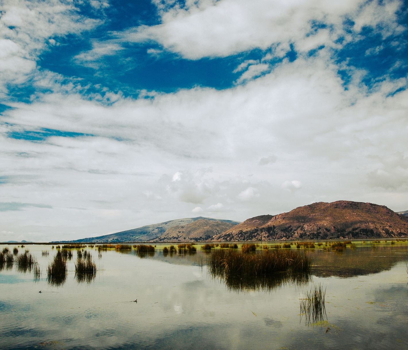 Ich habe es gewagt, aber mir ist es etwas zu kühl im Titicacasee.