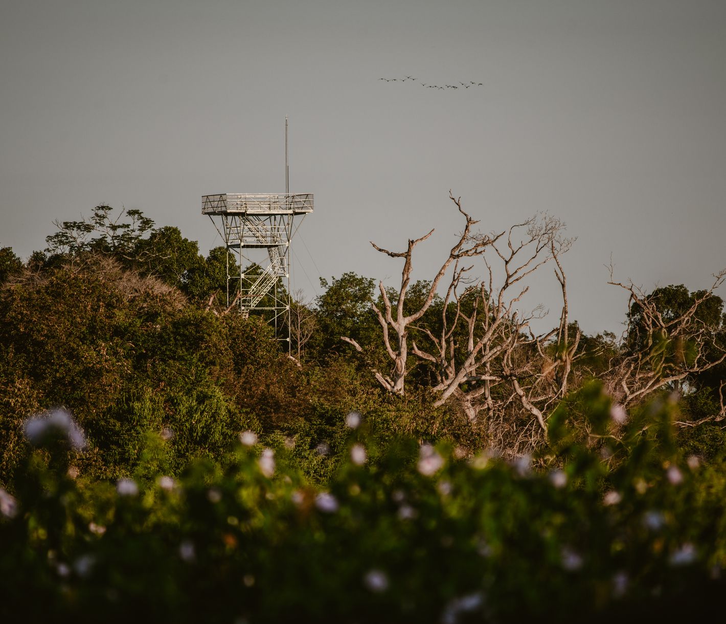 Auf dem Aussichtsturm
