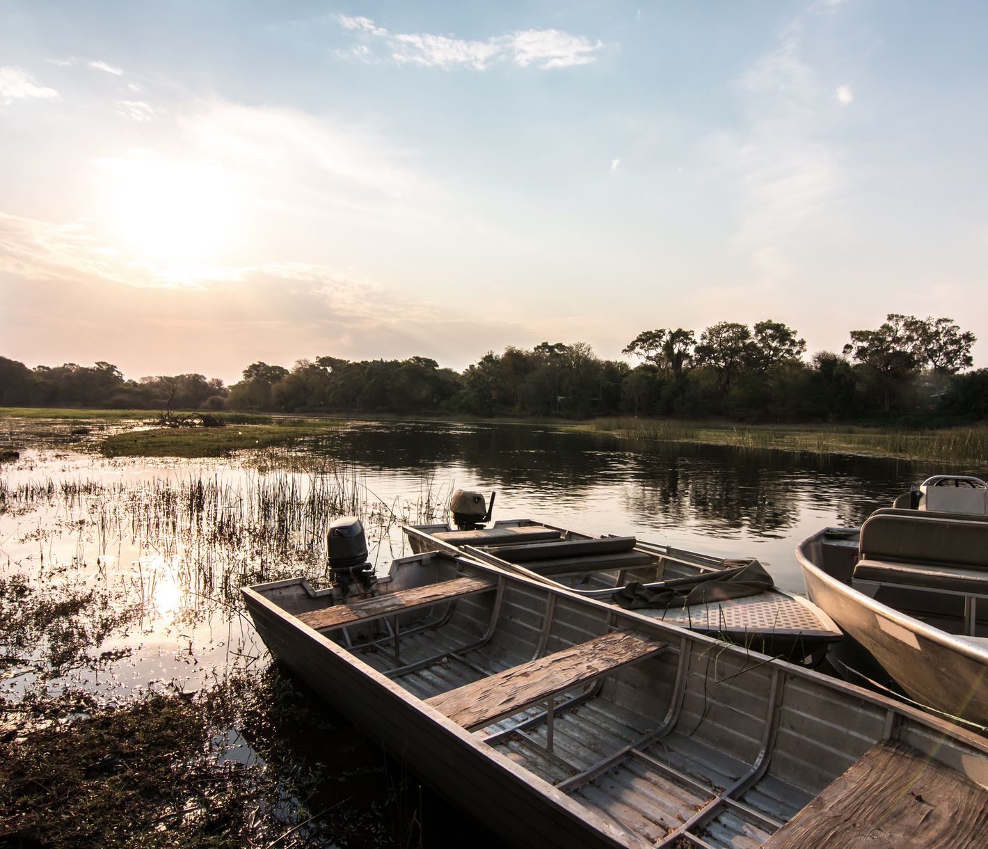 La rivière Thamalakane près de Maun au coucher du soleil
