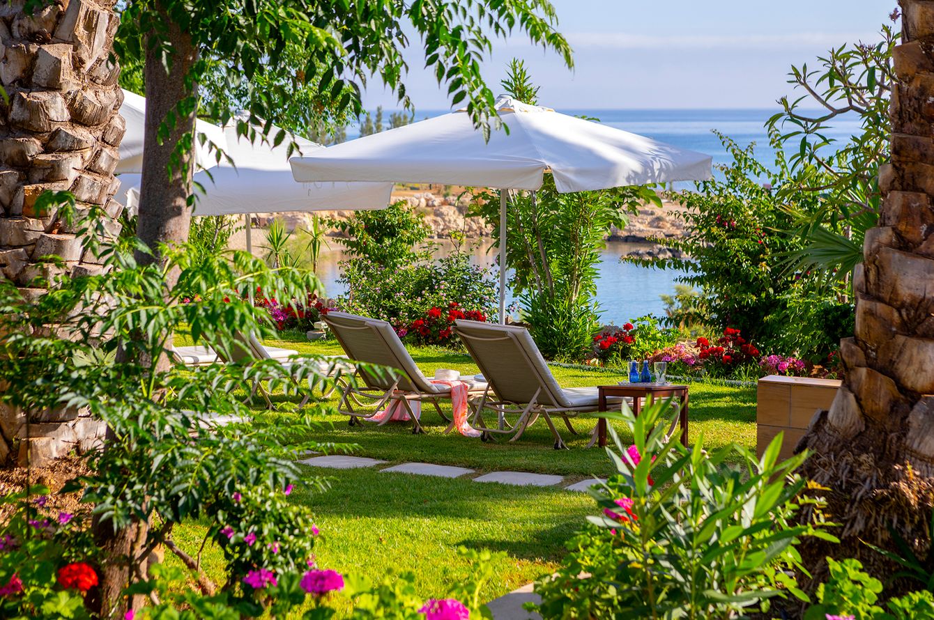 Jardin
