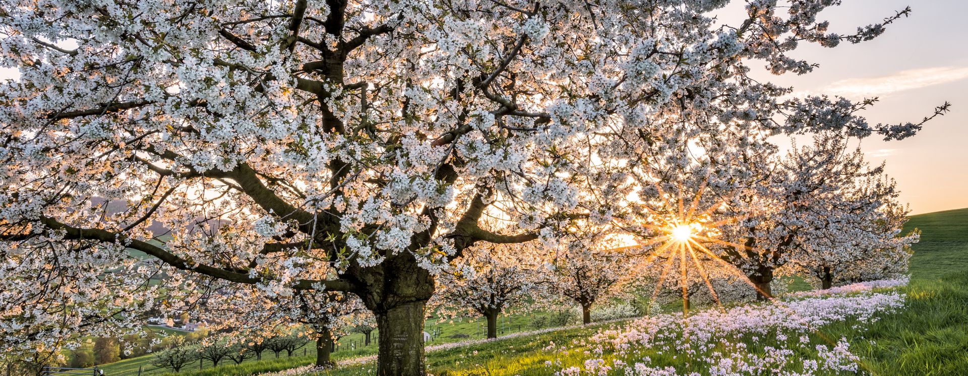 Arisdorf, Basel-Land