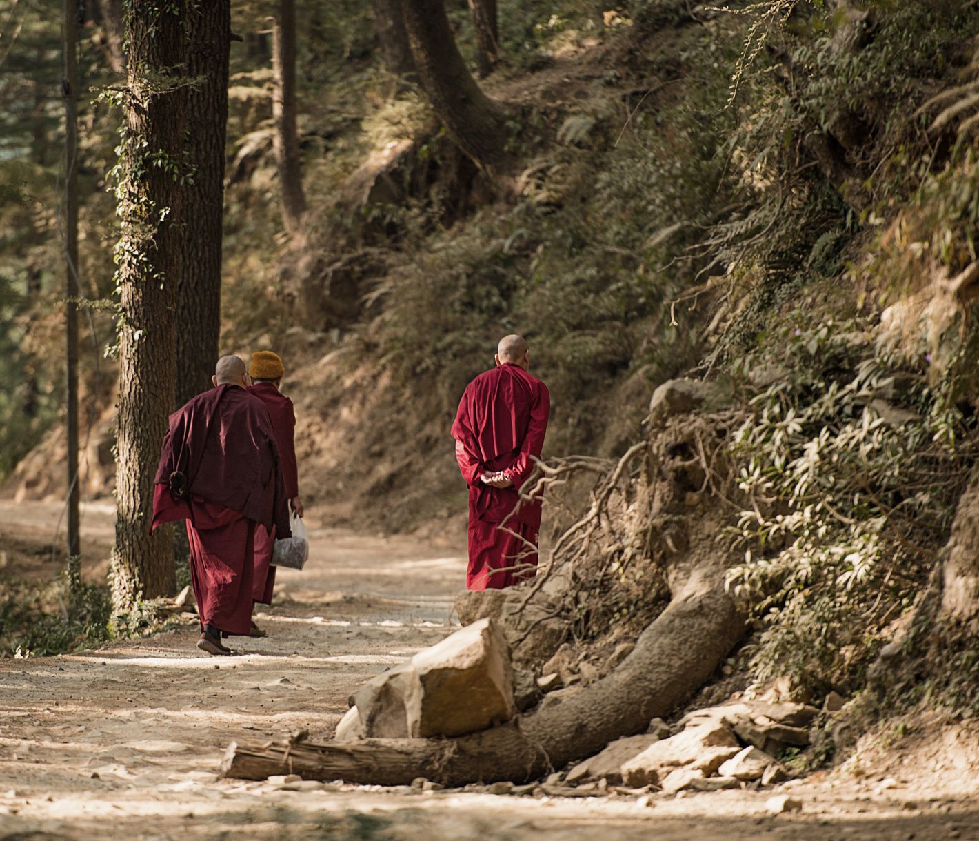 Tibetische Mönche in Dharamshala, dem Zufluchtsort des 14. Dalai Lama