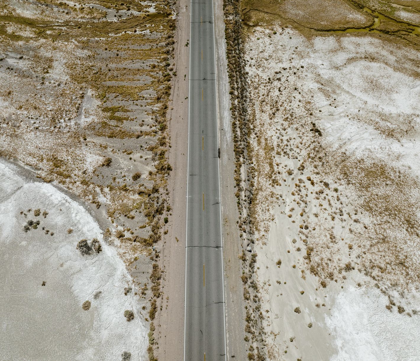 On the road – mit dem Bus durchqueren Sie die Wüstenlandschaft Kaliforniens.