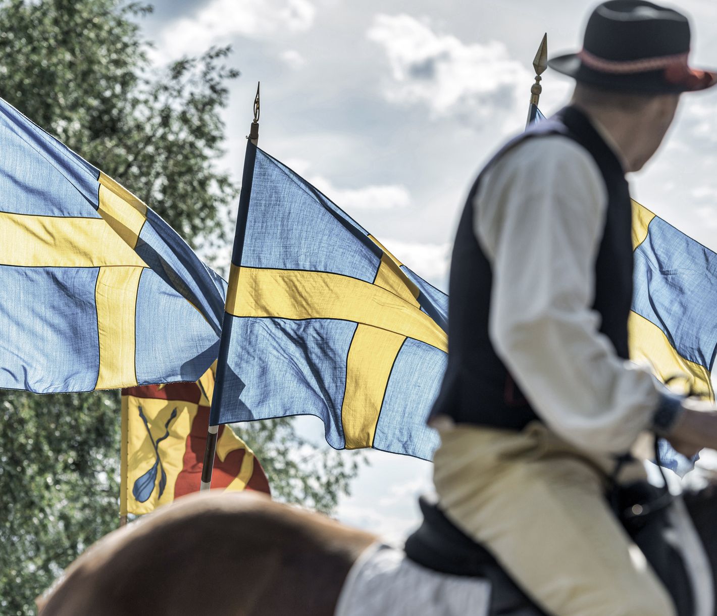 Darf ich bitten? Eine Geige beginnt zu spielen.