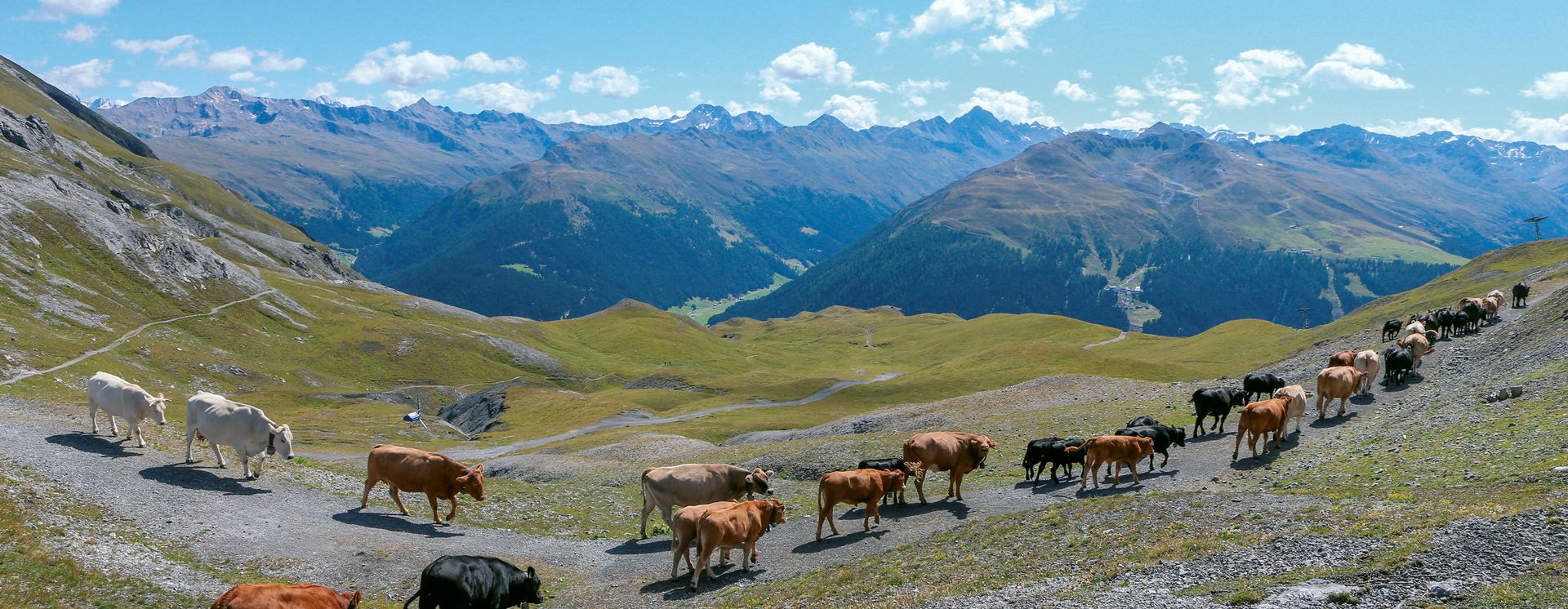 © Destination Davos-Klosters