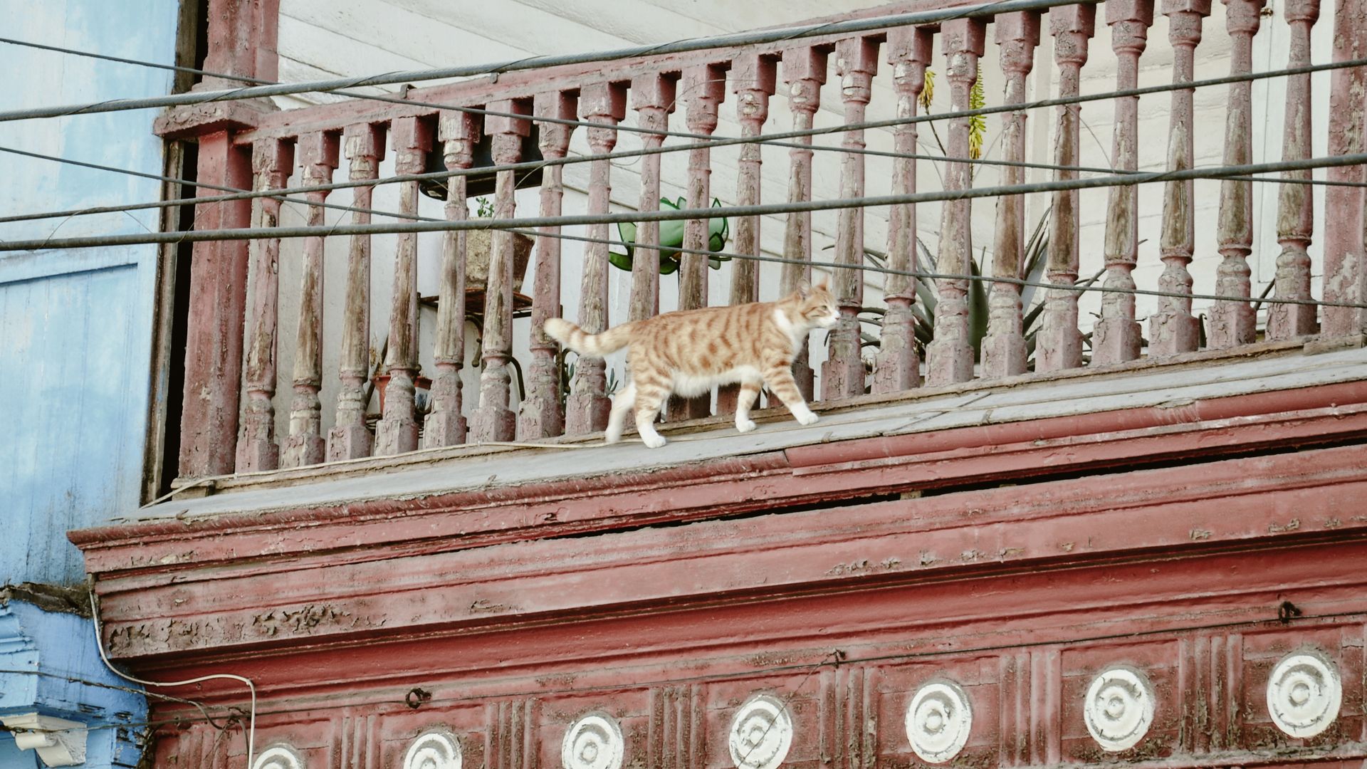 Über den Dächern von Iquique