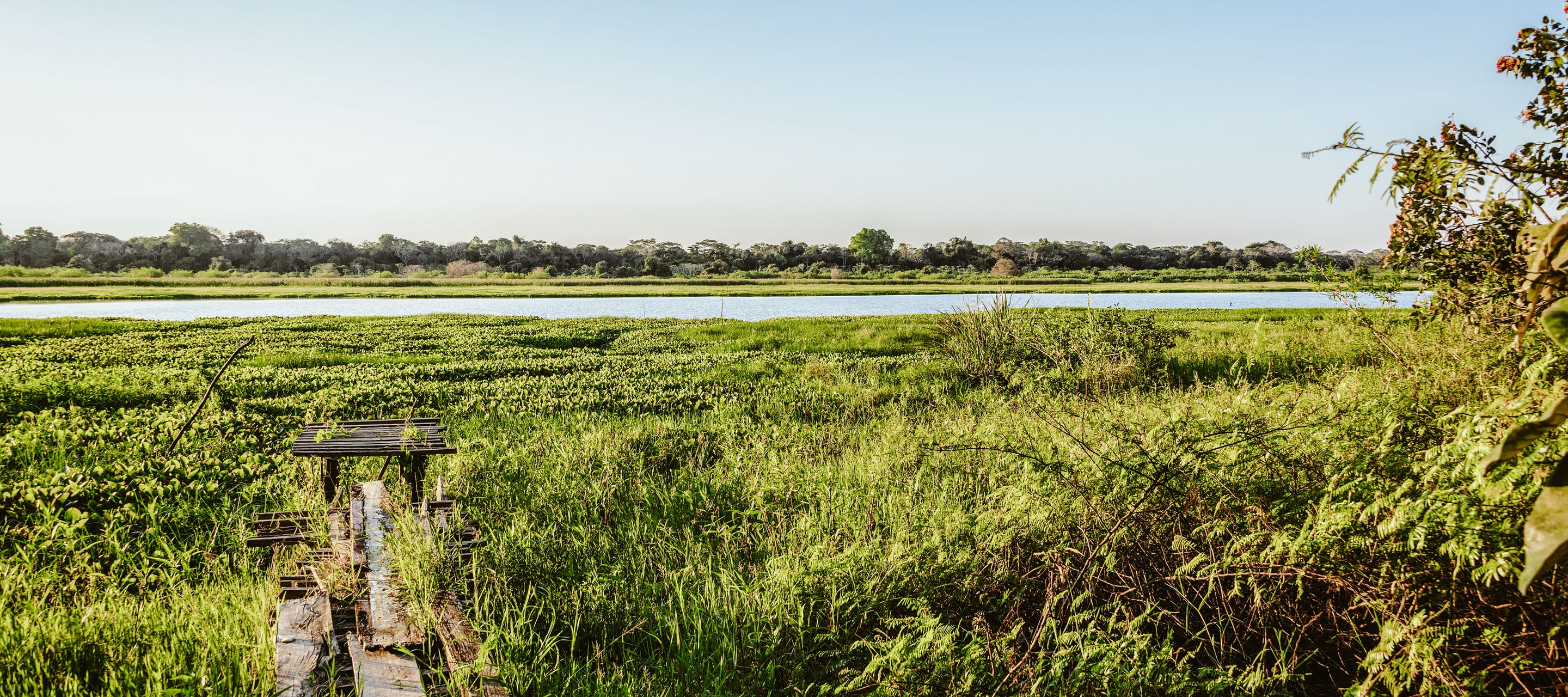 Zu Besuch im Madidi-Nationalpark.