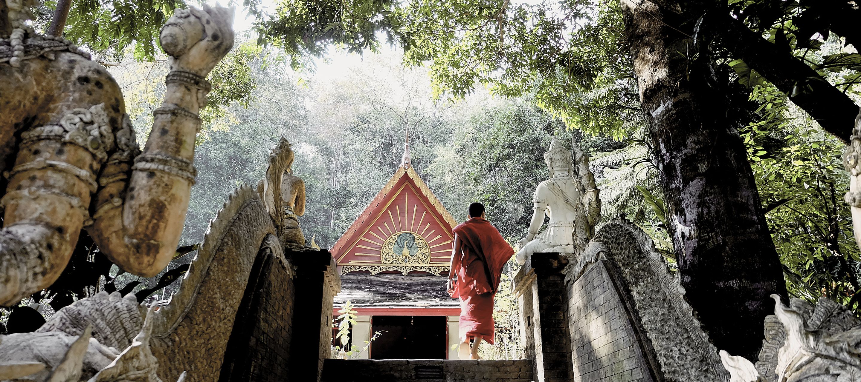 Der Wat Pha Lat liegt mitten im Dschungel auf dem Weg zum Doi Suthep.