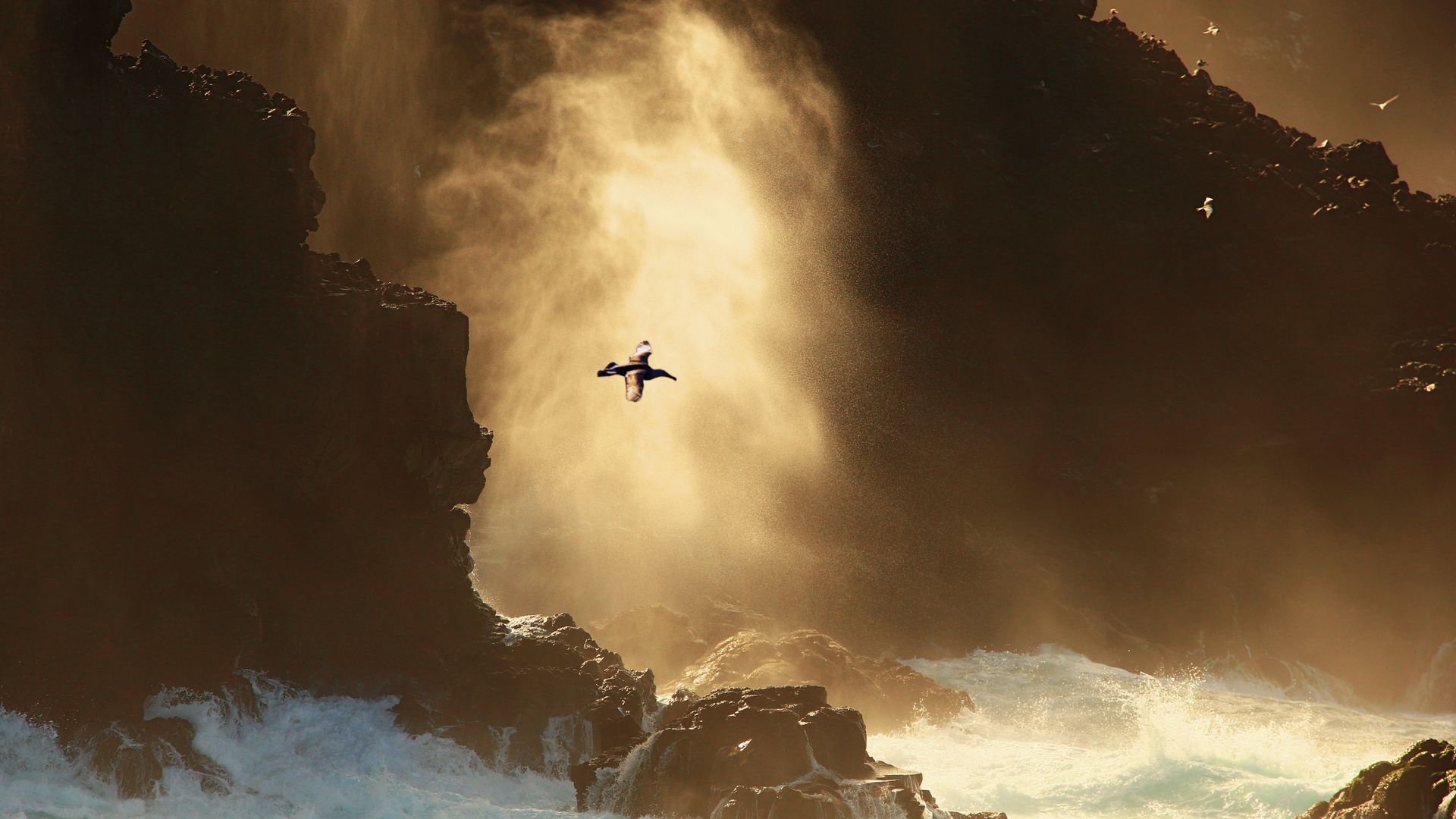 Les îles Galapagos, miracle de l’évolution à 1170 km des côtes équatoriennes