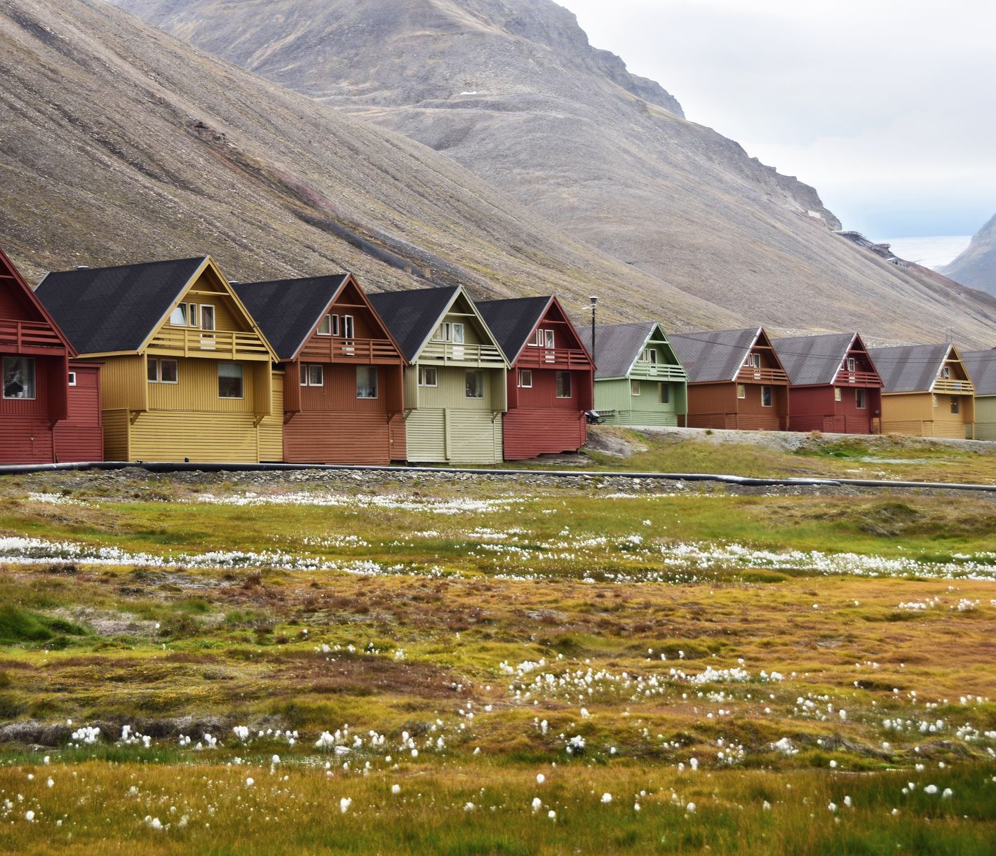 Vom Bergbau und der Arche Noah