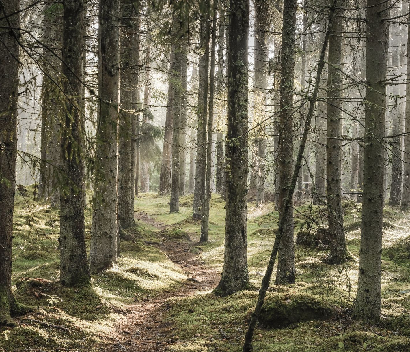 Schweden wie aus dem Kinderbuch