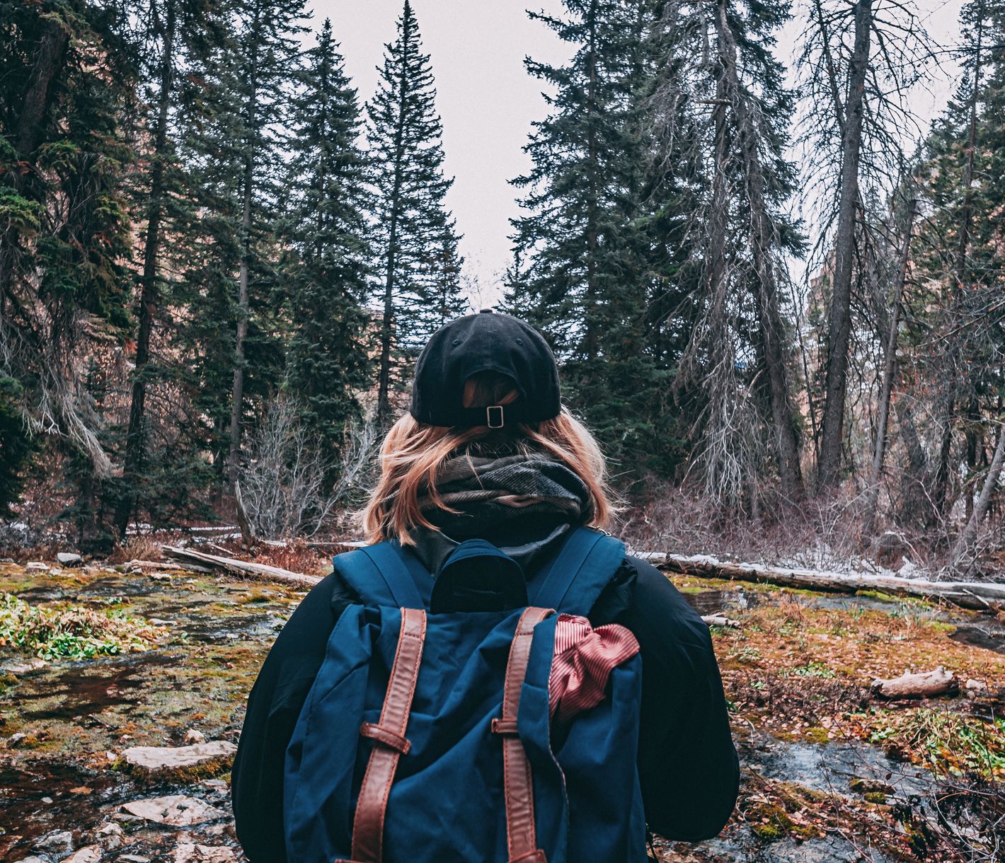 Denver eignet sich besonders für Tagesausflüge zu naheliegenden Naturerlebnissen.