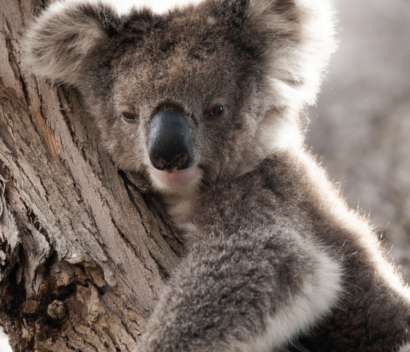 Bitte nicht stören!