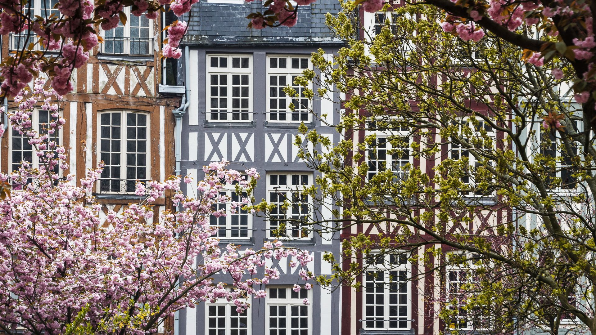 Fachwerkhäuser in Rouen